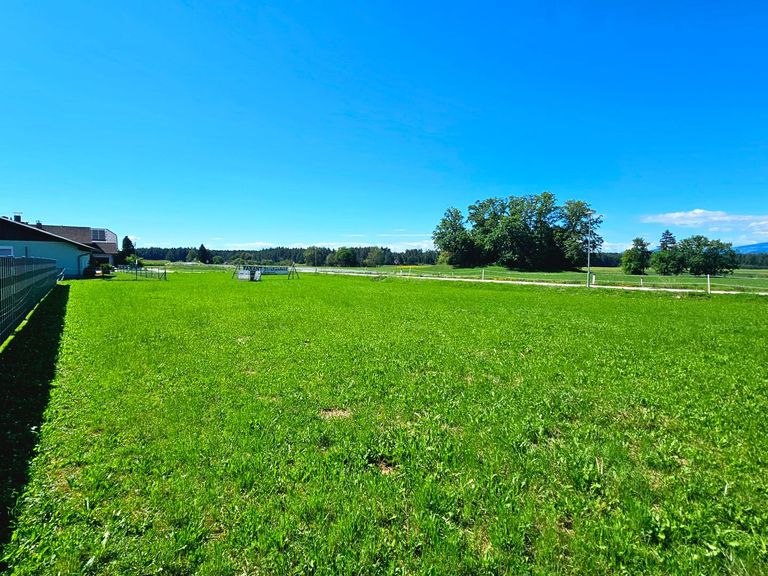 Grundstück - Blick nach Nord/West