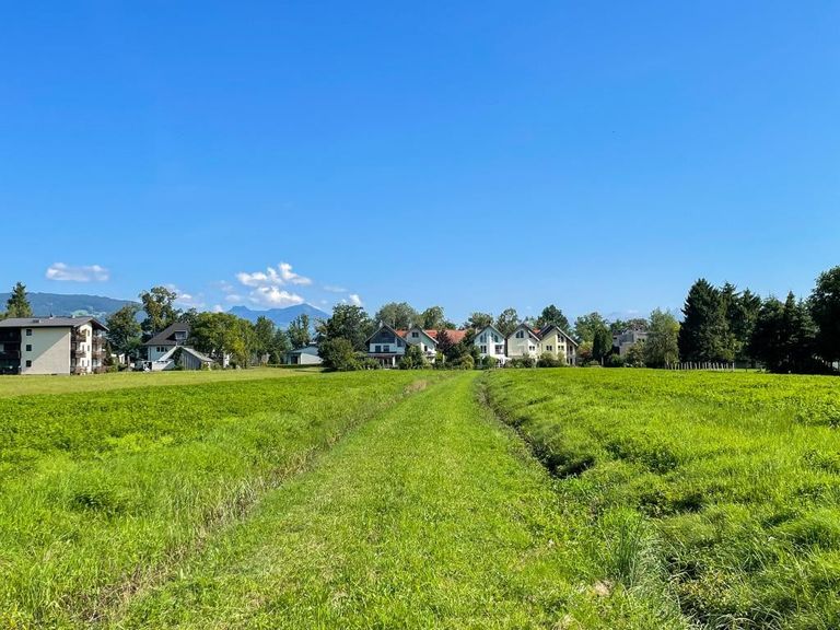 Blick ab ca. 1/3 des Grundstückes