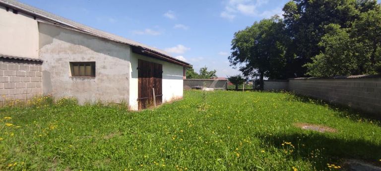 WhatsApp Image 2021-07-08 at 12.32.20 (4)