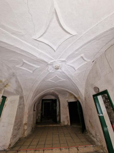 WhatsApp Bild 2024-04-26 um 11.41.50_fb2ca7ec