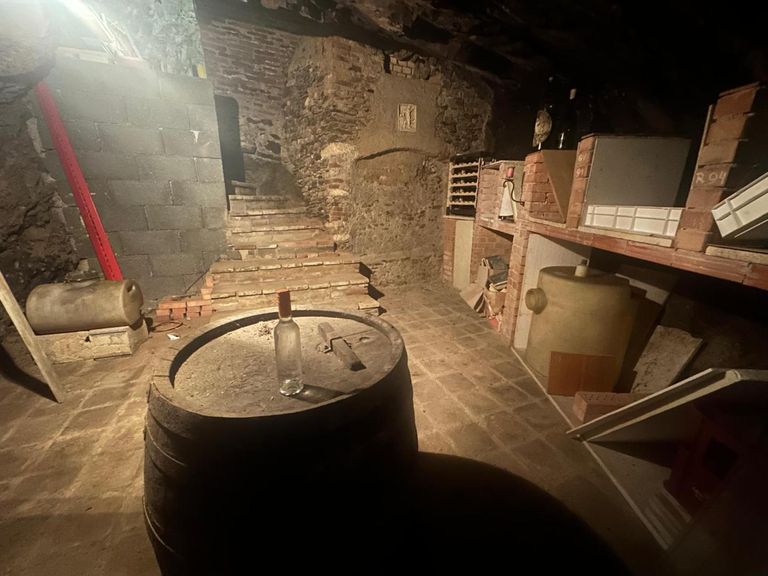 WhatsApp Bild 2024-06-04 um 21.43.17_45a8e944