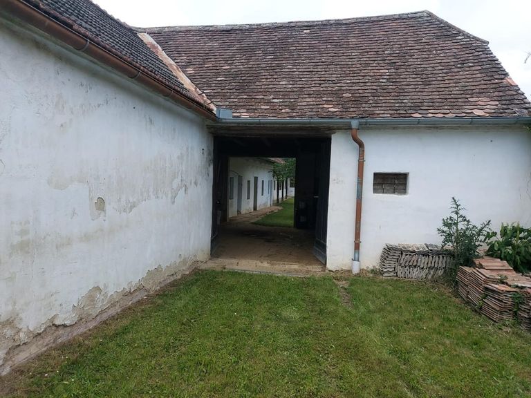 WhatsApp Bild 2024-08-31 um 09.55.32_fac9b29b