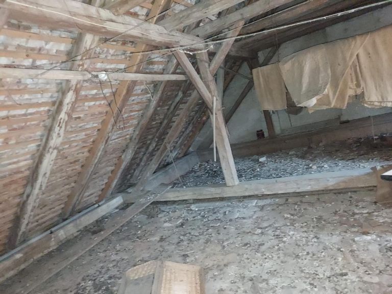 WhatsApp Bild 2024-08-31 um 09.55.32_91b159a1