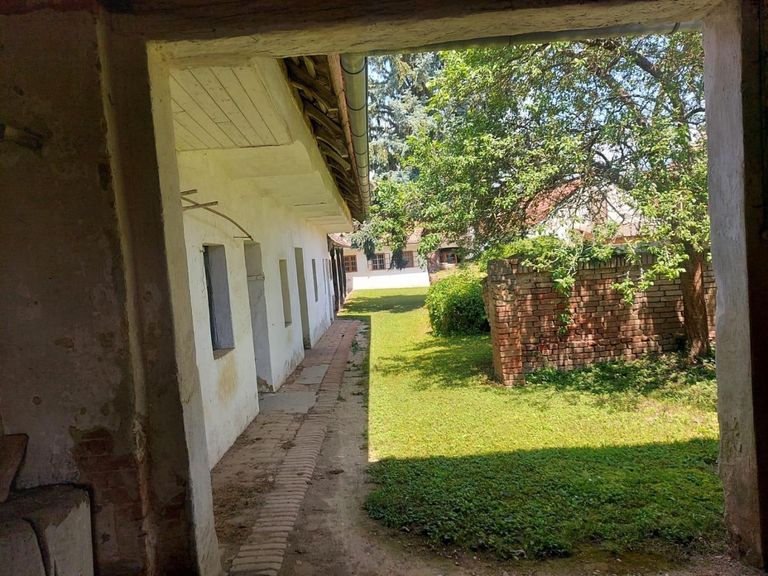 WhatsApp Bild 2024-08-31 um 09.59.15_464c2600