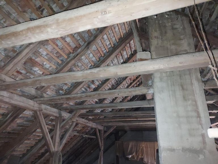 WhatsApp Bild 2024-08-31 um 09.59.10_948a8d5e