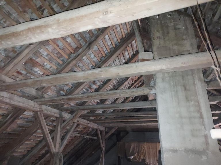 WhatsApp Bild 2024-08-31 um 09.55.33_d85b61eb