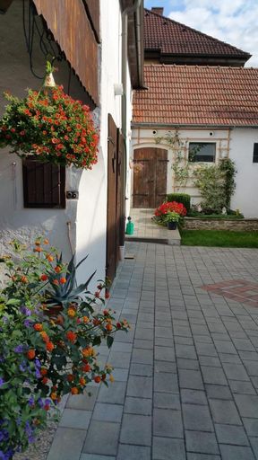 WhatsApp Bild 2024-10-03 um 06.16.38_34137887