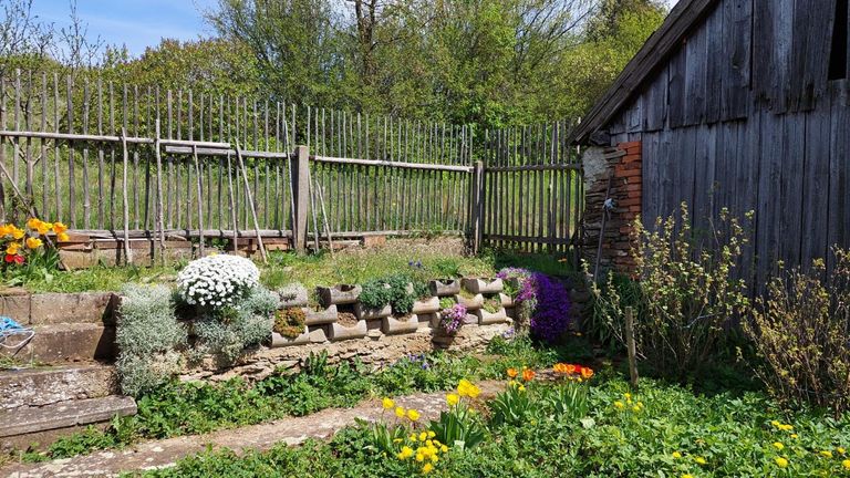 WhatsApp Bild 2024-10-03 um 06.16.39_d35ca37d