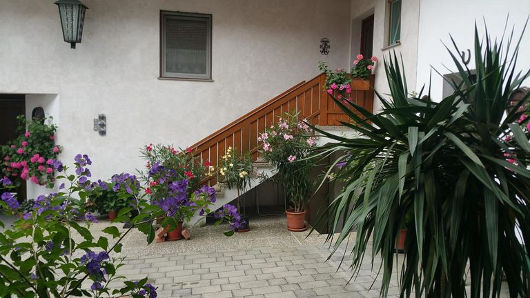 WhatsApp Bild 2024-10-03 um 06.16.38_41d75444