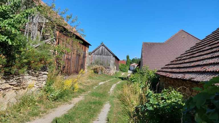 WhatsApp Bild 2024-10-03 um 06.16.39_473aa887