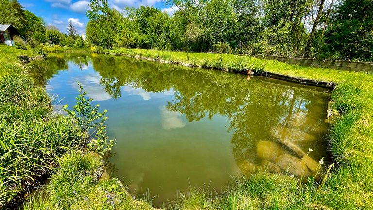Grundstück mit 2 Fischteichen