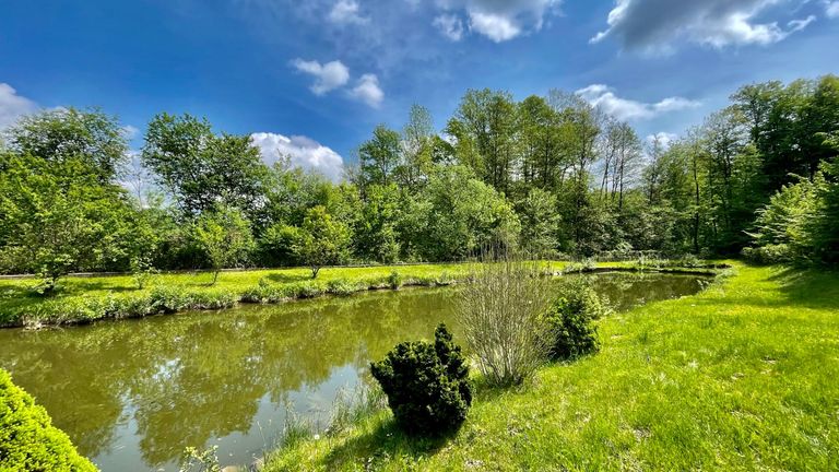 Grundstück mit 2 Fischteichen