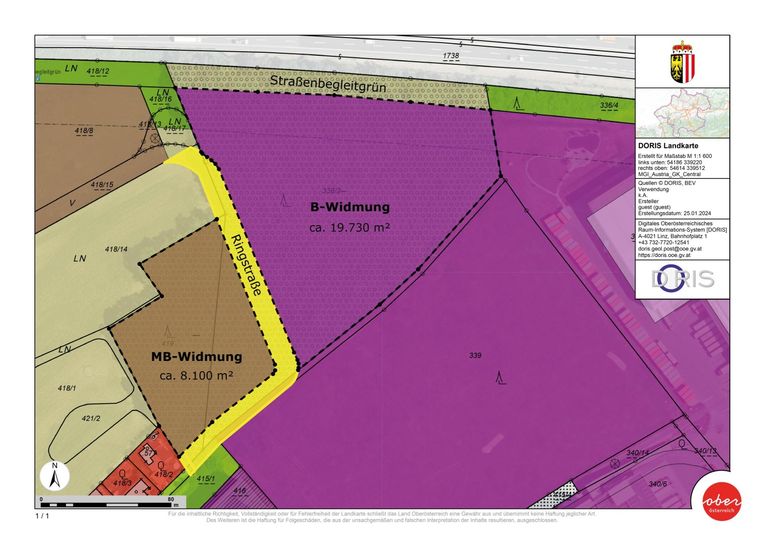 ca. Widmungen, Ringstraße, Straßenbegleitgrün