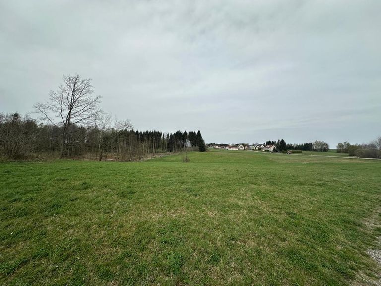 WhatsApp Bild 2025-04-17 um 12.52.09_2f074003