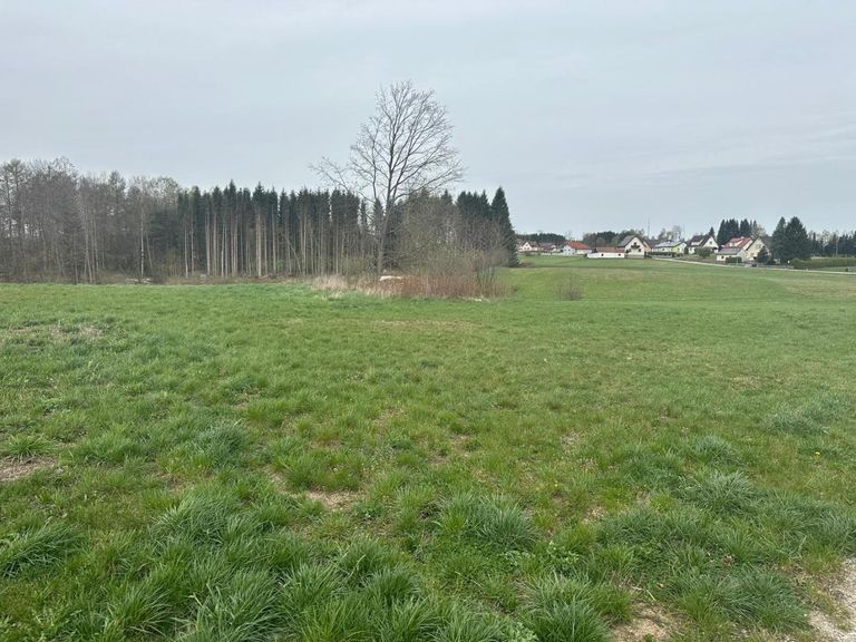 WhatsApp Bild 2025-04-17 um 12.52.09_db547fd2