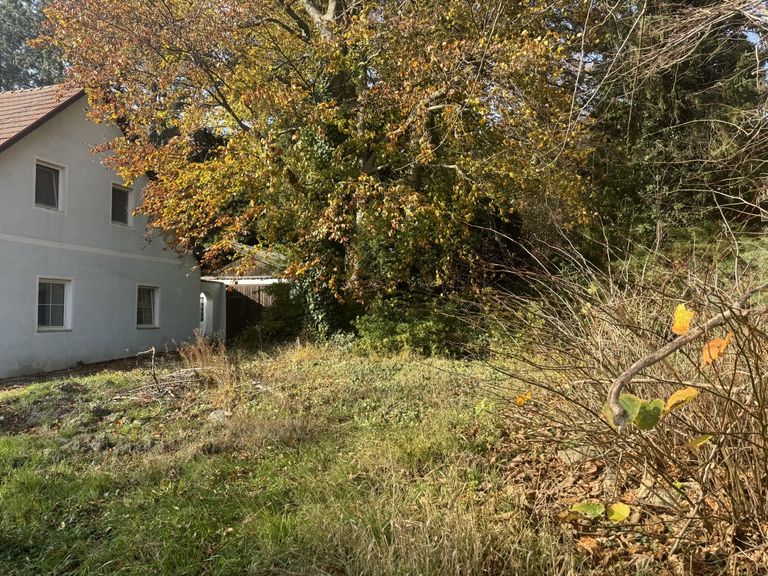 07 Baugrund in Katzelsdorf