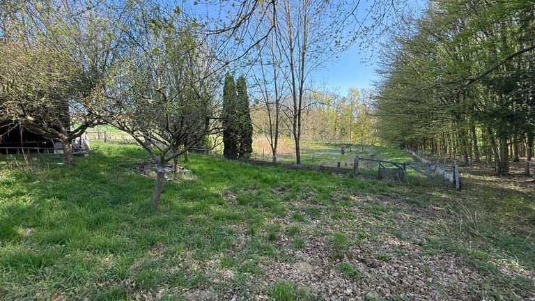 Einfriedung beim Wald