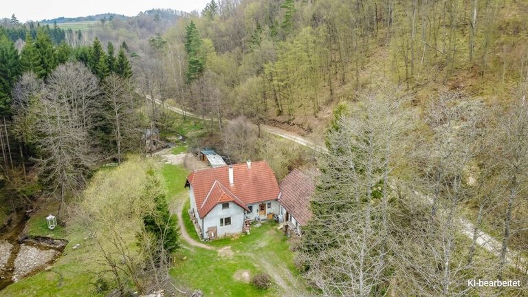 Ihr neues Zuhause ?!