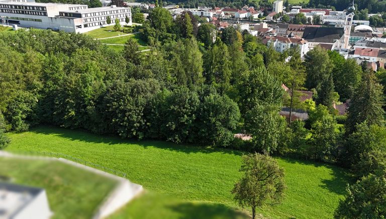 4 Wiese über Grieskirchen