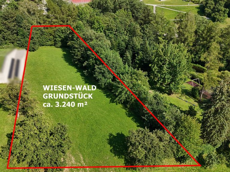 Grundstück Wiese inkl.Wald