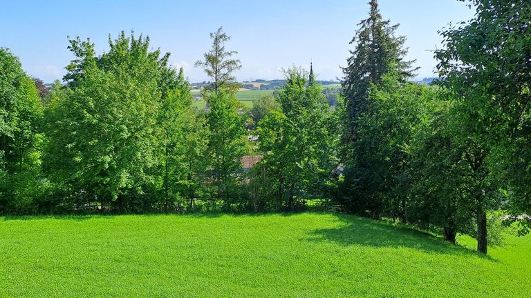 6 Im Grünen über der Stadt