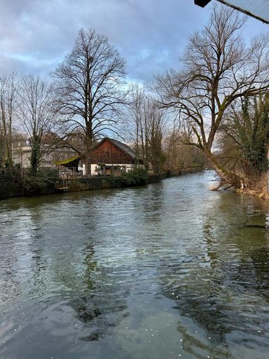 PHOTO-2025-01-29-08-57-06 (15)