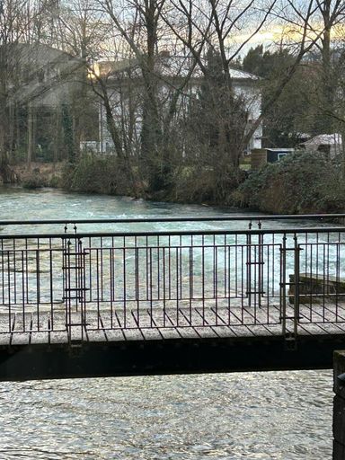 PHOTO-2025-01-29-08-57-06 (17) (1)