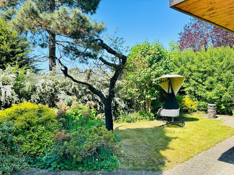 20 Gartendetail