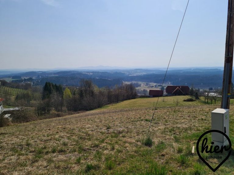 WhatsApp Image 2022-