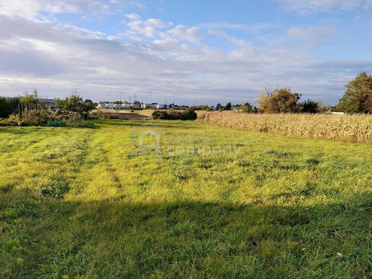 Grundstück Parndorf_ Blick nach Nordwesten
