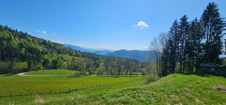 Grundstück
