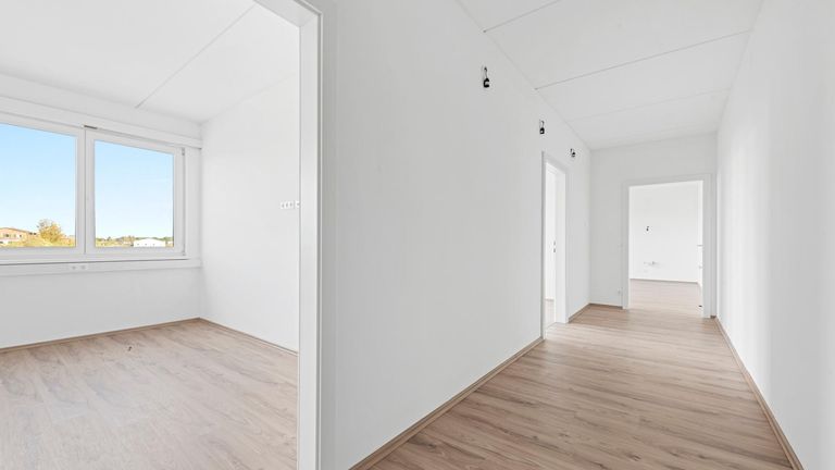 Büro/Wohnen