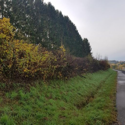 Längsansicht des Grundstückes