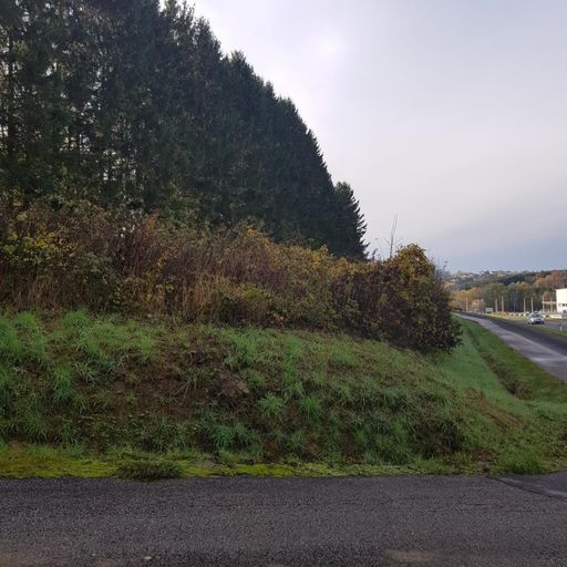 Grundstück mit Zufahrtsweg