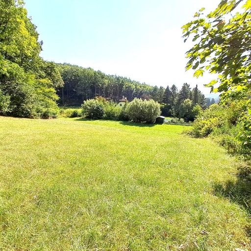 Grunstück - Blickrichtung Osten