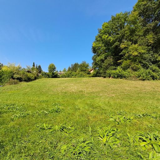 Grundstück - Blickrichtung Westen