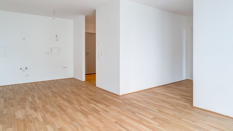 Wohnessbereich blick Richtung Vorzimmer