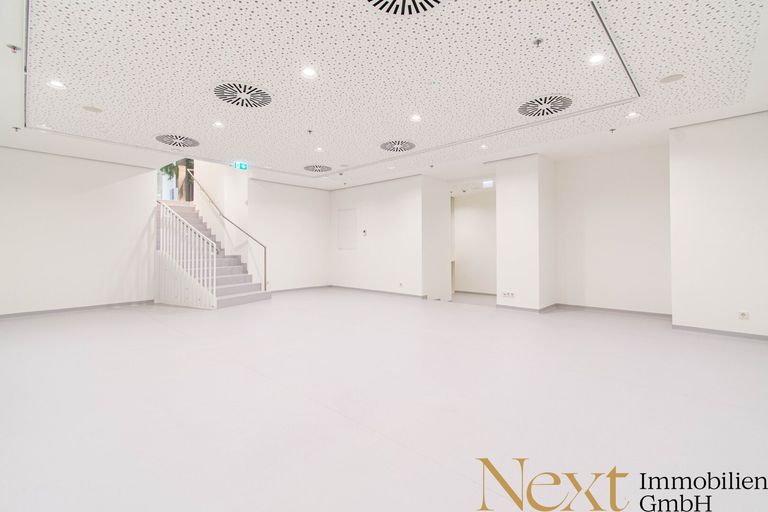 Geschäftsfläche (unten) II