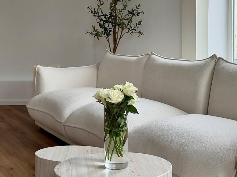 5907014998209710151 (1)