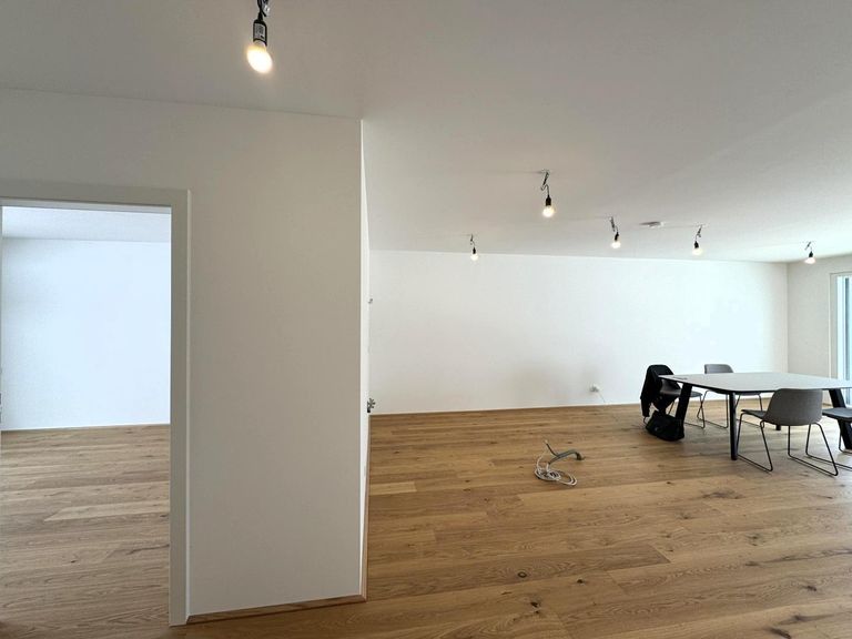 Wohnzimmer / Wohn-/Essküche