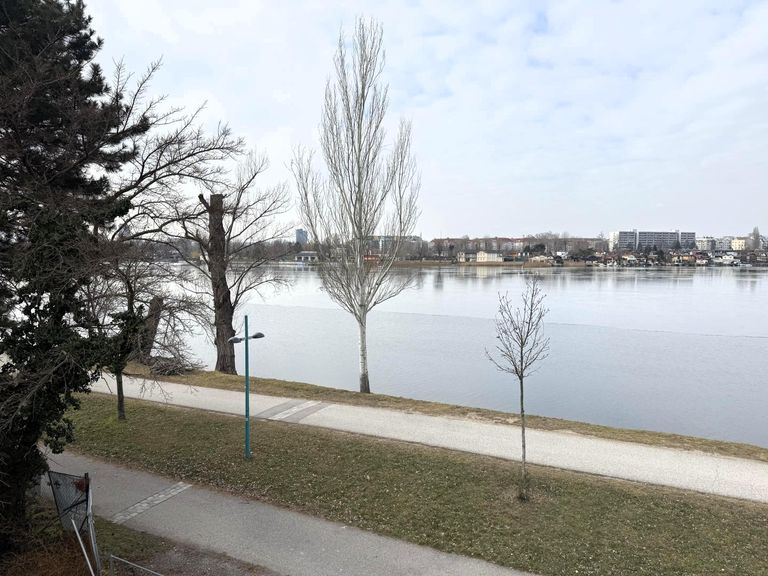 Ihr Ausblick von der DG-Terrasse direkt auf das Wa