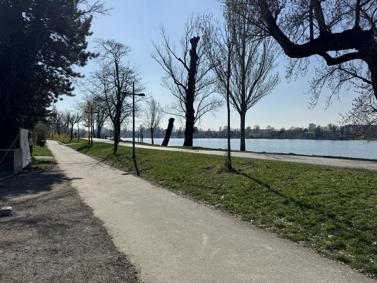 Nur 20 m vom Ufer der unteren alten Donau