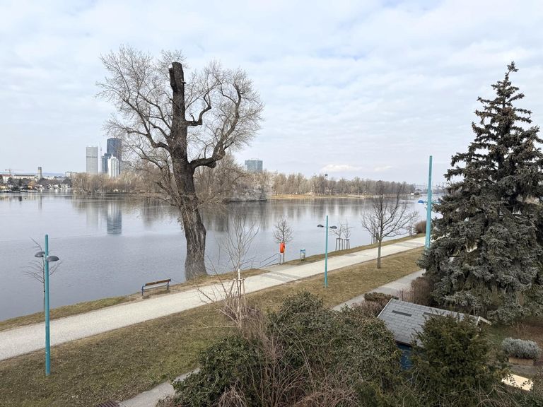 So könnte Ihr Ausblick von der DG-Terrasse aussehe