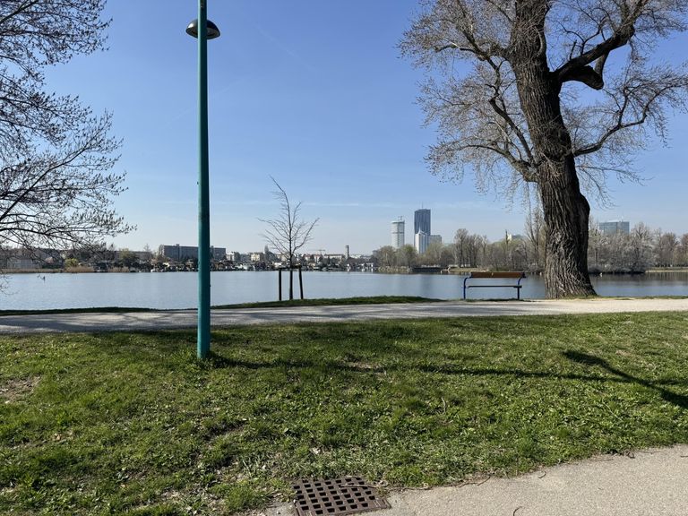 Nur 20 m vom Ufer der unteren alten Donau