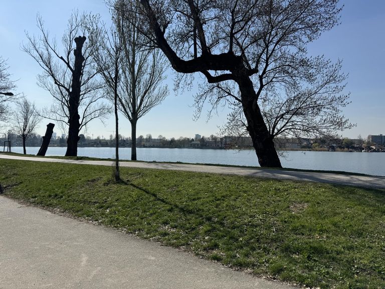 Nur 20 m vom Ufer der unteren alten Donau
