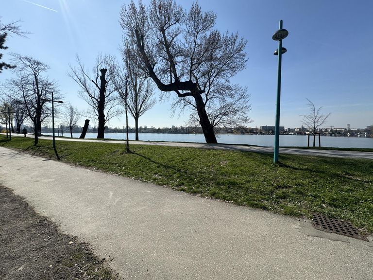 Nur 20 m vom Ufer der unteren alten Donau