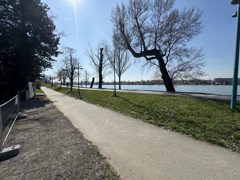 Nur 20 m vom Ufer der unteren alten Donau