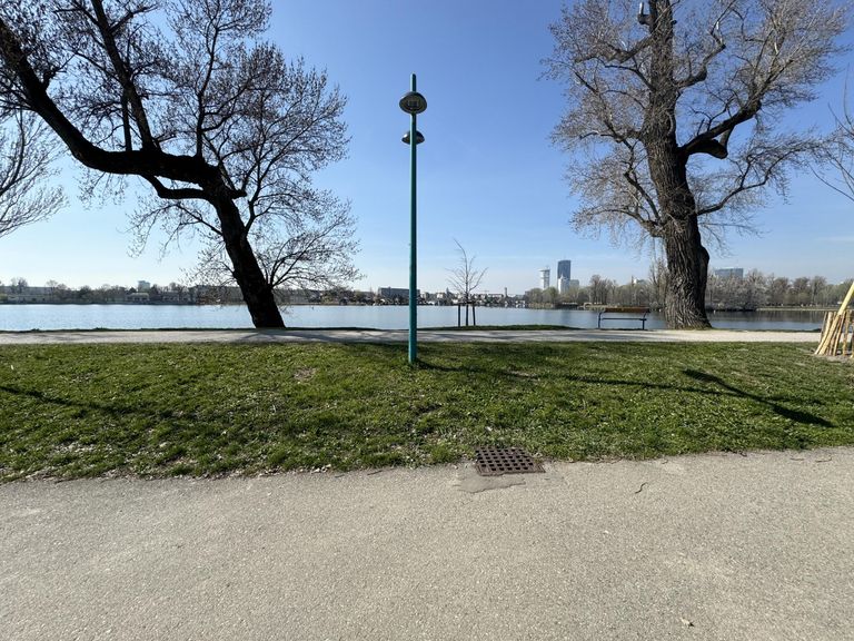 Nur 20 m vom Ufer der unteren alten Donau