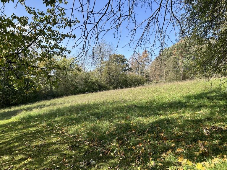 Gartenblick ins Grüne