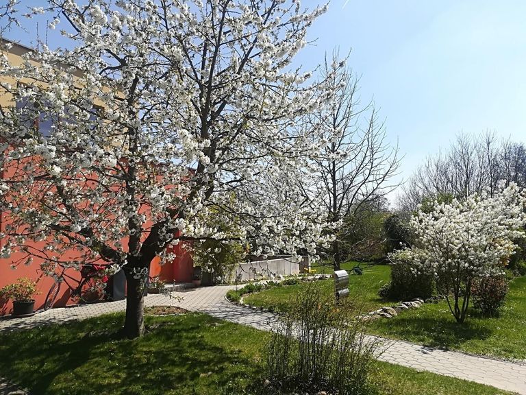 Garten
